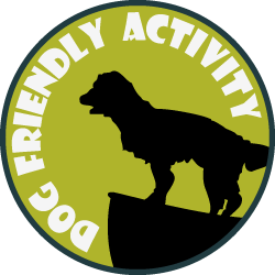 Dog Friendly Activity